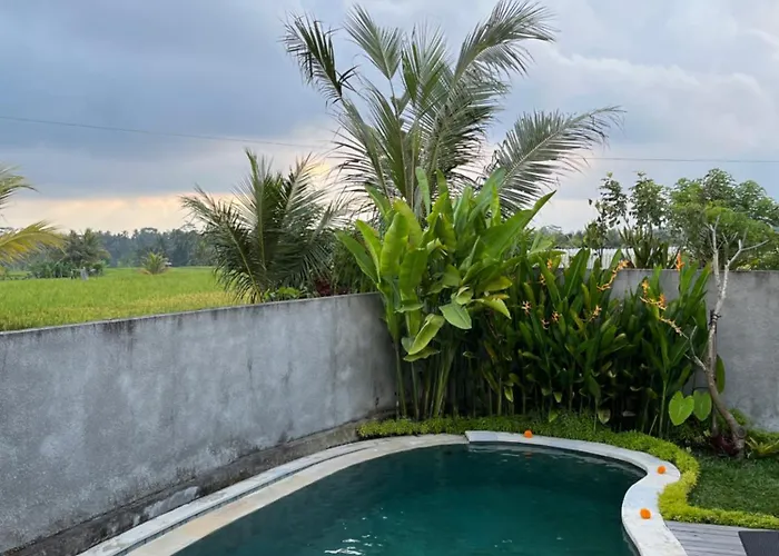 Gunung Gelagah Ricefield View By Eps