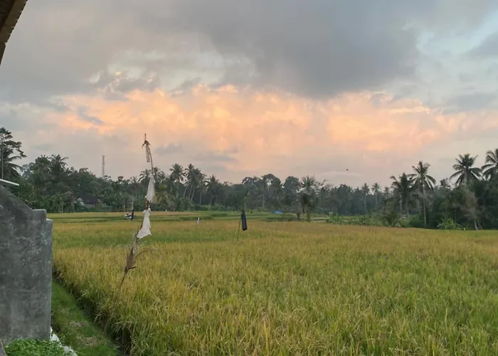 Gunung Gelagah Ricefield View By Eps Ubud