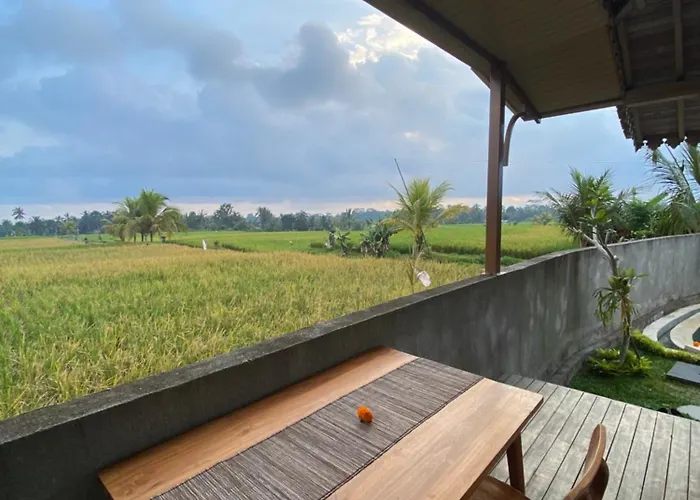 Gunung Gelagah Ricefield View By Eps