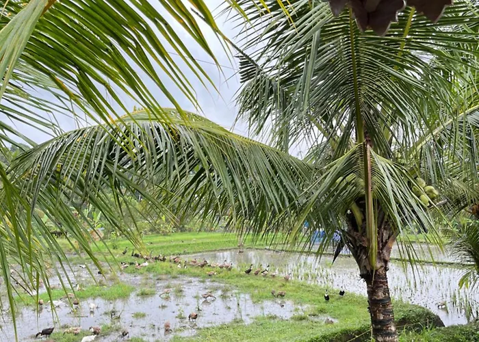 Villa Gunung Gelagah Ricefield View By Eps Ubud